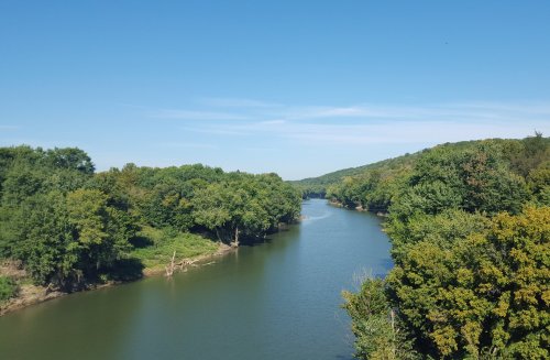 A serene river flows through lush green trees under a clear blue sky.
