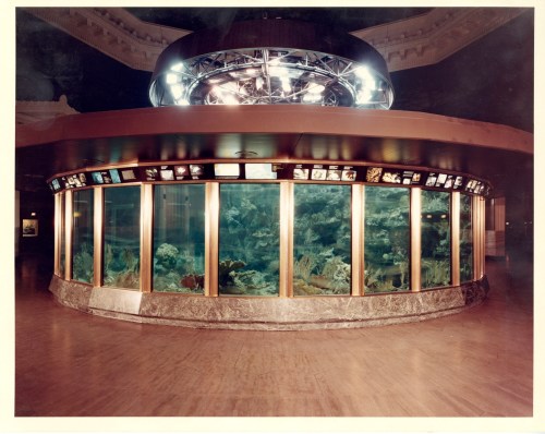 A circular aquarium display with glass walls, showcasing colorful marine life and illuminated by overhead lights.