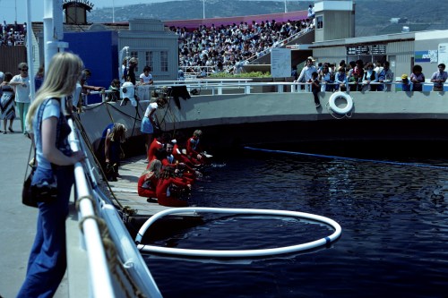 A crowd watches as performers in red suits interact with water at an aquatic show, with a woman observing from the side.