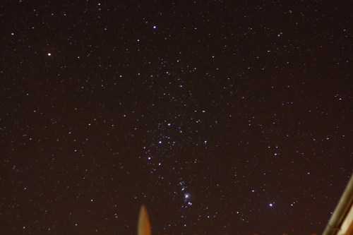 A starry night sky filled with numerous stars, featuring the Orion constellation prominently.