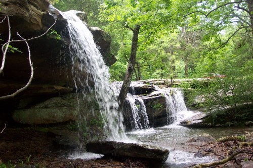 A serene waterfall cascading over rocks, surrounded by lush green trees and foliage.