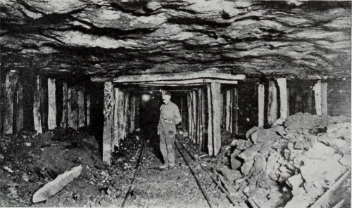A miner stands inside a dimly lit coal mine, surrounded by wooden supports and piles of coal.