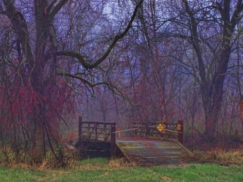 A foggy scene featuring a wooden bridge surrounded by bare trees and overgrown grass, with caution tape across the entrance.