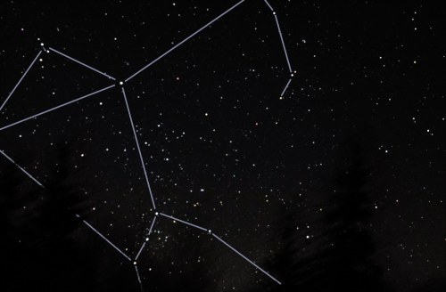 A starry night sky with a constellation outlined, framed by dark silhouettes of trees below.