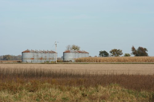 Two large metal silos stand beside a cornfield under a clear sky, with trees in the background.