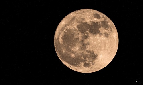 A close-up view of a full moon against a black sky, showcasing its craters and surface details.