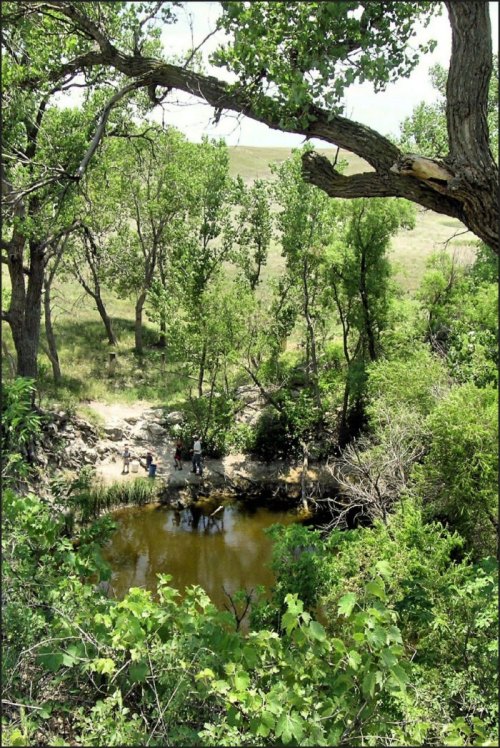 A serene landscape featuring a small pond surrounded by lush greenery and trees, with people near the water's edge.