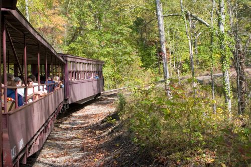 A vintage train curves along a wooded path, with passengers enjoying the scenic view through the open windows.