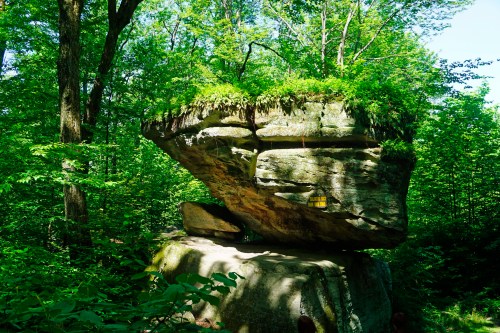 A large, flat-topped rock covered in moss and greenery, surrounded by lush forest trees.