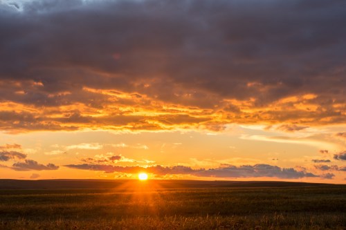 A vibrant sunset over a grassy landscape, with dramatic clouds illuminated in shades of orange and gold.