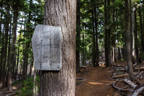Wooden sign on a tree in a forest, indicating a wilderness area, with a dirt path visible in the background.