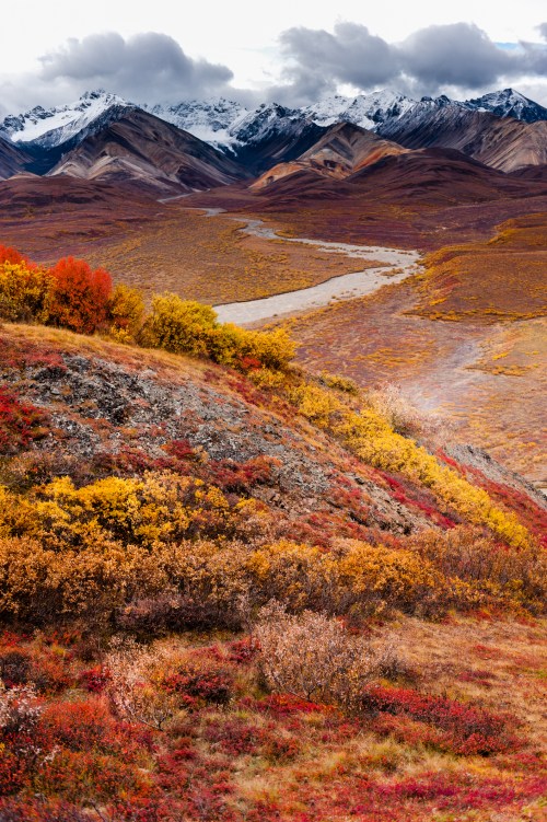 A vibrant landscape of autumn foliage with mountains and a winding river under a cloudy sky.