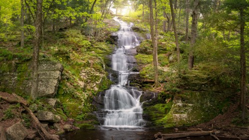 A serene waterfall cascades down moss-covered rocks, surrounded by lush green trees in a tranquil forest setting.