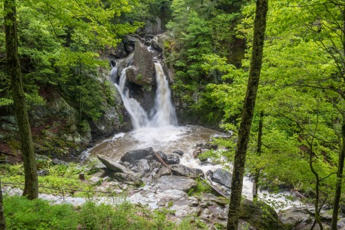 A serene waterfall cascades over rocks, surrounded by lush green trees and foliage in a tranquil forest setting.