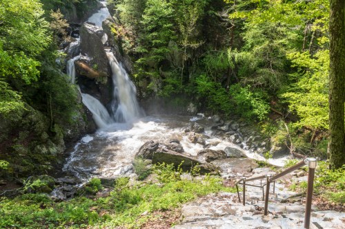 A cascading waterfall surrounded by lush greenery, with stone steps leading down to the water's edge.
