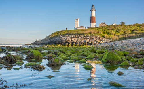 A lighthouse on a rocky shore, surrounded by green moss and calm water, under a clear blue sky.