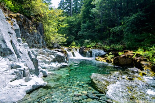 A serene forest scene featuring a clear, turquoise stream flowing over rocks and small waterfalls surrounded by lush greenery.