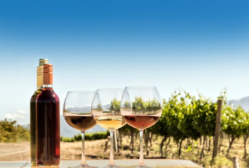 A bottle of wine beside three glasses filled with different wines, set against a vineyard and clear blue sky.
