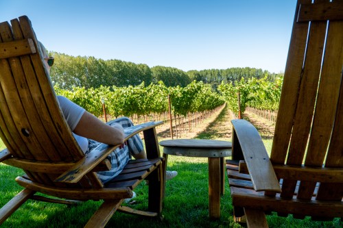 A person relaxes in wooden chairs overlooking a vineyard with rows of grapevines under a clear blue sky.