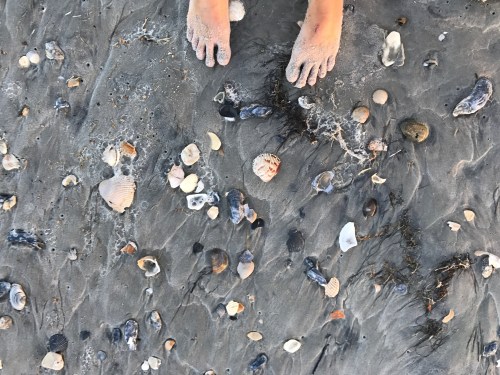 A pair of bare feet on sandy beach ground scattered with various seashells and small stones.