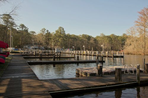 A serene dock area with wooden piers, boats, and trees reflecting in calm water under a clear sky.
