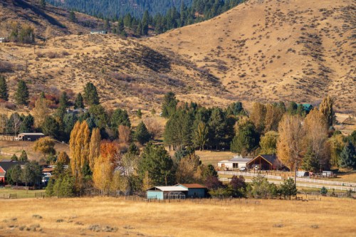 A scenic landscape featuring rolling hills, trees, and a small cluster of houses surrounded by golden grass.