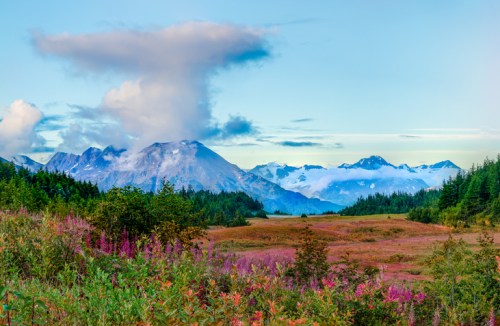 A scenic landscape featuring mountains, clouds, and vibrant wildflowers under a clear blue sky.