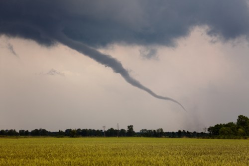 A dark funnel cloud descends from stormy skies over a green field, indicating severe weather conditions.