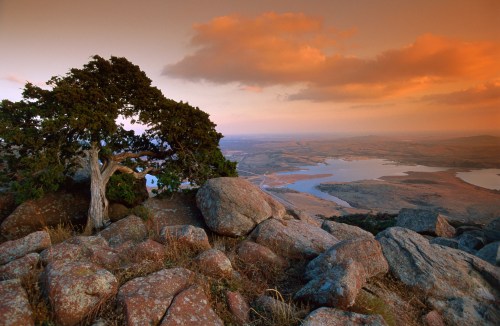 A rocky landscape at sunset, featuring a lone tree and a view of a lake surrounded by rolling hills.