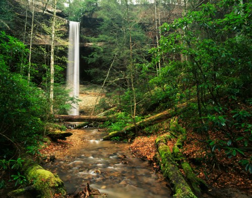 A serene waterfall cascades down a rocky cliff, surrounded by lush greenery and a gentle stream in the foreground.