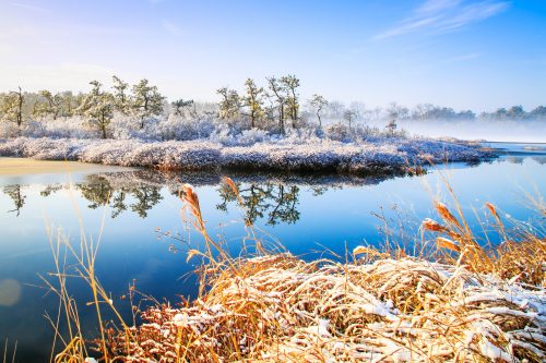 A serene winter landscape with snow-covered trees and grasses reflecting in a calm river under a clear blue sky.