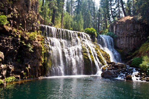 A serene waterfall cascading into a clear pool, surrounded by lush greenery and tall trees in a tranquil forest setting.