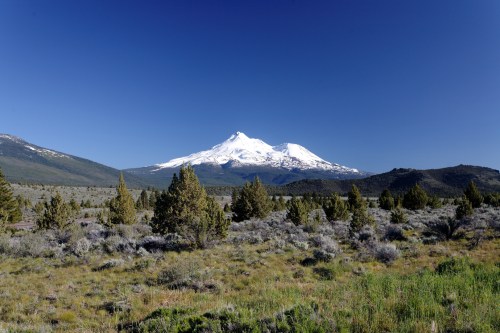 Snow-capped mountain rises above a green landscape with scattered trees under a clear blue sky.