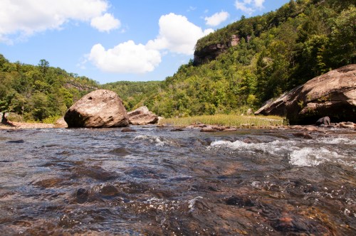 A serene river flows through a lush green landscape, with large rocks and a blue sky dotted with clouds.