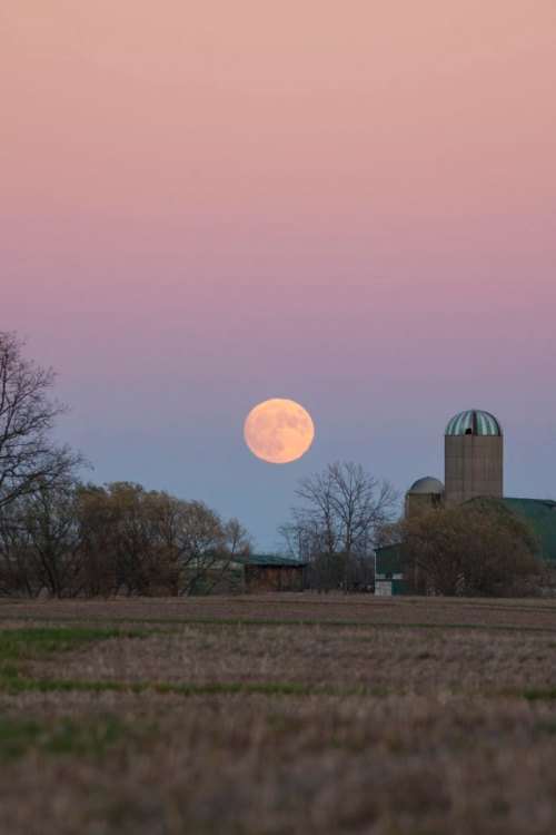 A full moon rises over a farm, with silos and trees silhouetted against a pastel sky at dusk.