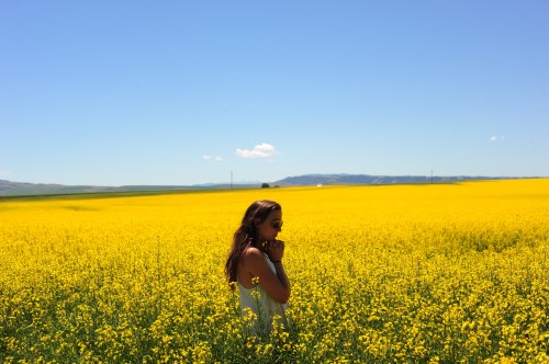 A woman stands in a vibrant yellow flower field under a clear blue sky, enjoying the serene landscape.