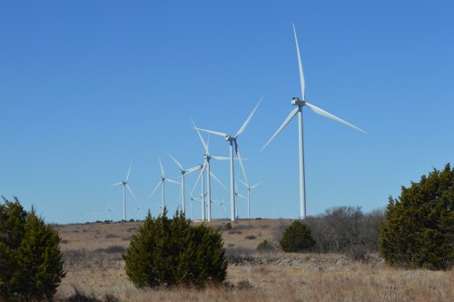 A row of wind turbines stands against a clear blue sky, surrounded by sparse grassland and a few green shrubs.