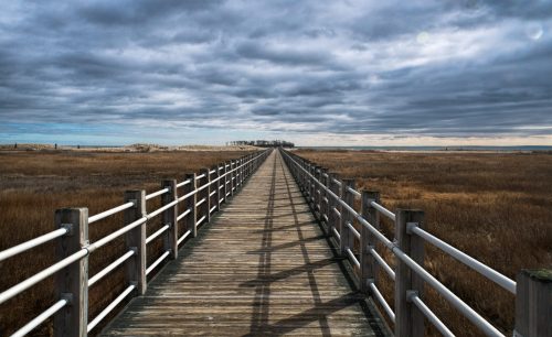 A wooden boardwalk stretches into a cloudy sky over a grassy landscape, leading to a distant tree line.