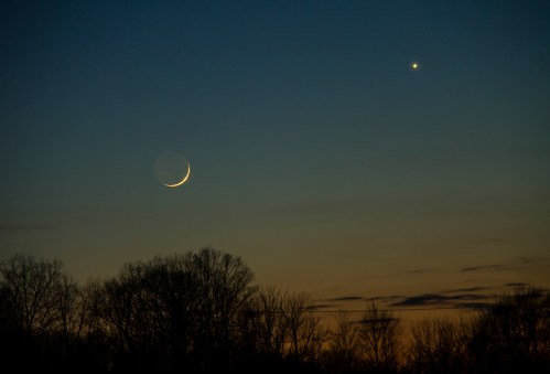 A crescent moon and a bright star shine in a twilight sky, silhouetted by dark tree branches below.