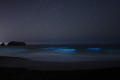 A serene beach at night with glowing waves under a starry sky, creating a tranquil and magical atmosphere.
