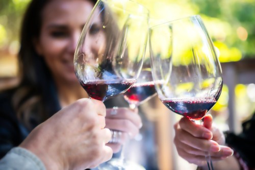 Three hands clink glasses of red wine in a toast, with a blurred background of greenery.