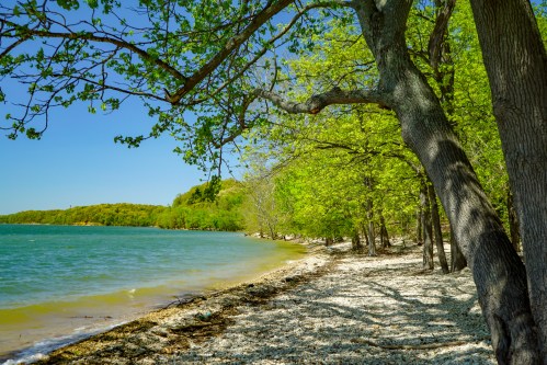 A serene lakeside scene with lush green trees and a pebbly shore under a clear blue sky.