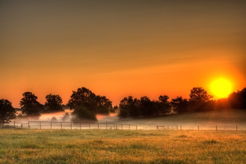 A serene sunrise over a misty field, with silhouettes of trees and a fence in the foreground.