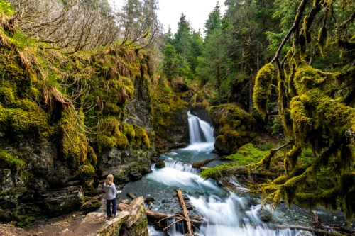 A person stands by a moss-covered riverbank, gazing at a waterfall surrounded by lush green trees.
