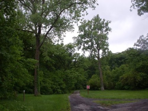 A winding dirt path leads into a lush, green forest under a cloudy sky, with tall trees on either side.