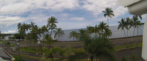 A scenic view of a coastal road lined with palm trees, overlooking a calm ocean under a partly cloudy sky.