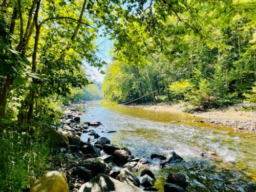 A serene river flows through a lush green forest, with sunlight filtering through the trees and rocks lining the shore.