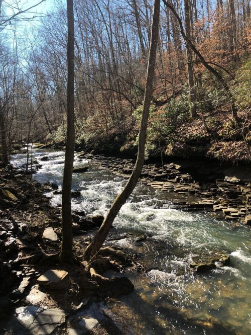 A serene river flows through a wooded area, with rocky banks and trees lining the water's edge under a clear sky.