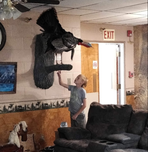 A boy reaches out to touch a mounted turkey on a wall in a cozy room with a couch and exit sign.