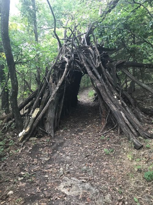 A rustic structure made of branches and logs, nestled in a wooded area along a dirt path.
